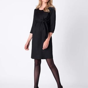 NWT Seraphine maternity and nursing dress